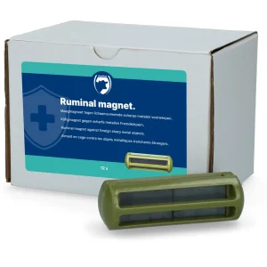 Magneet