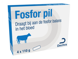 Fosfor Pil