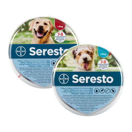 Seresto Hond