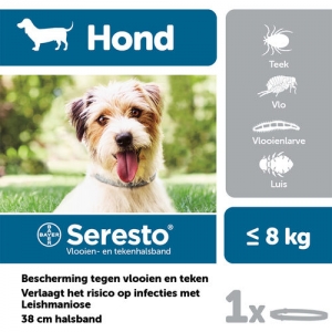 Seresto hond