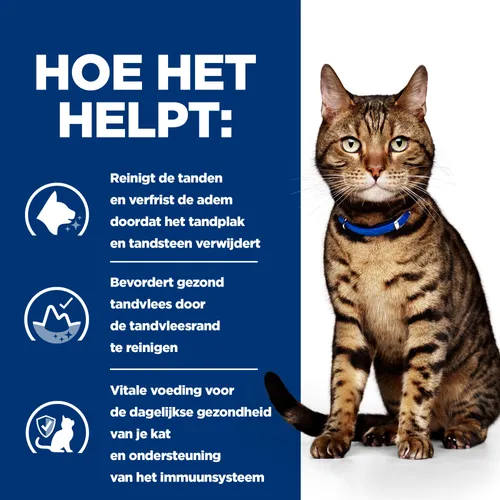 Hill's Prescription Diet T/D Kat - Afbeelding 4