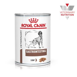 RC Gastro Intestinal Blik 400 gram