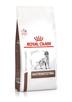 RC Gastro Intestinal Hond