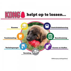 KONG Classic