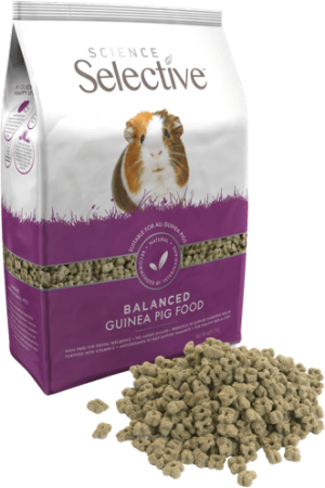 Science Selective Guinea Pig