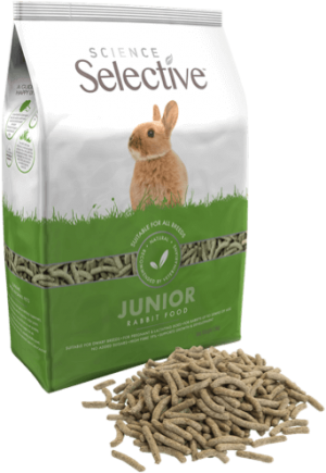Science Selective Junior Rabbit