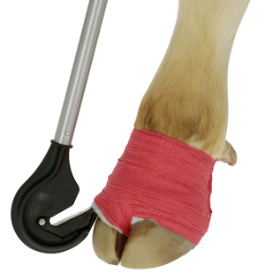 Klauw bandage snijder