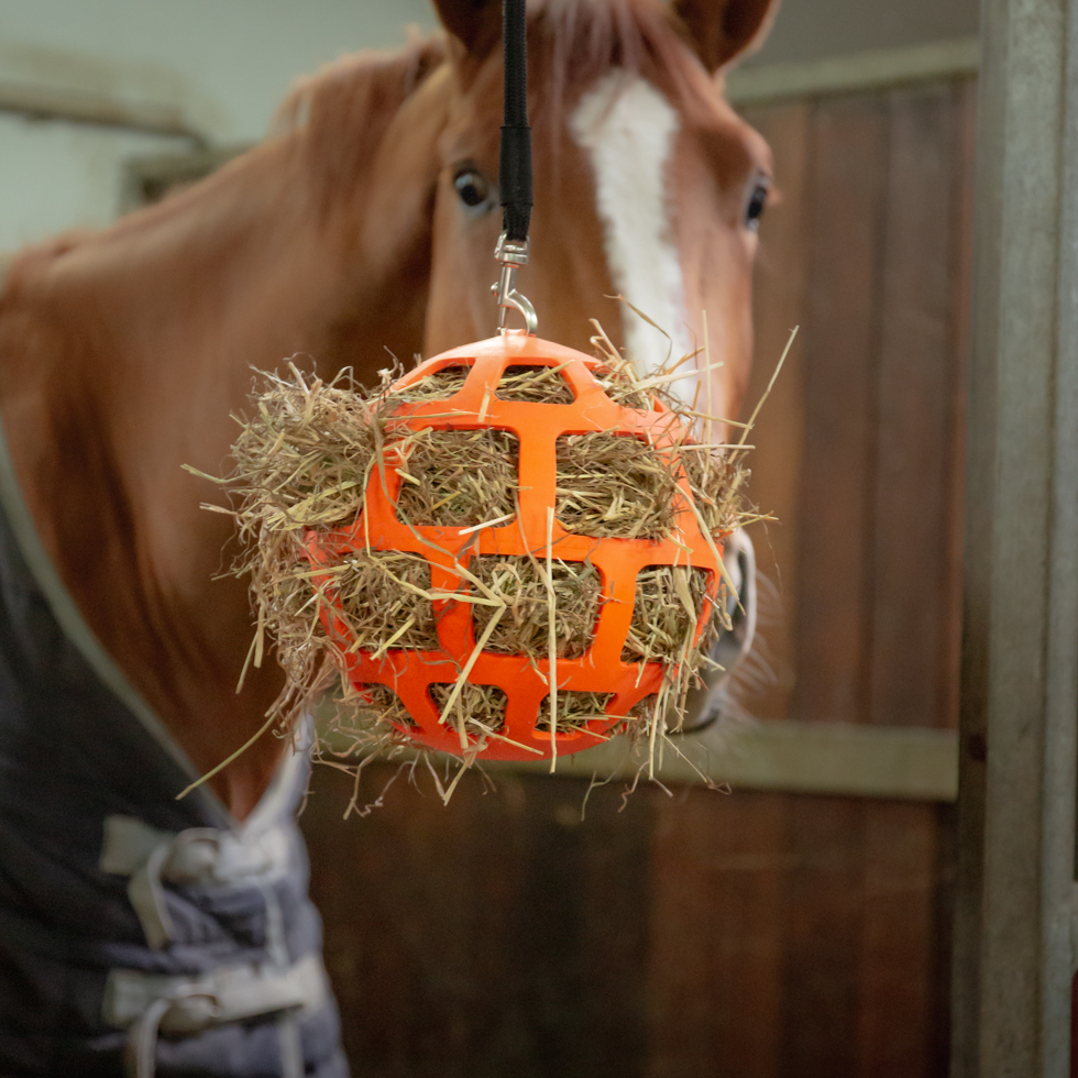 Hay Slow Feeder Fun & Flex - Afbeelding 2