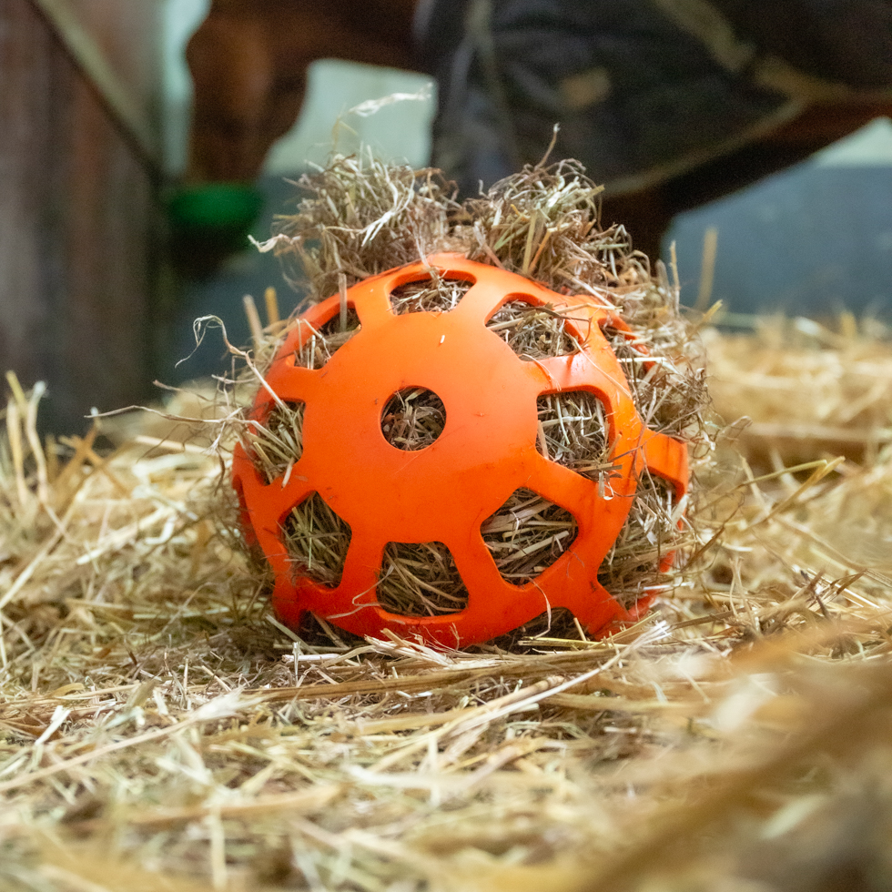 Hay Slow Feeder Fun & Flex - Afbeelding 3