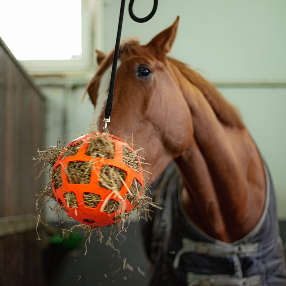 Hay Slow Feeder Fun & Flex - Afbeelding 4