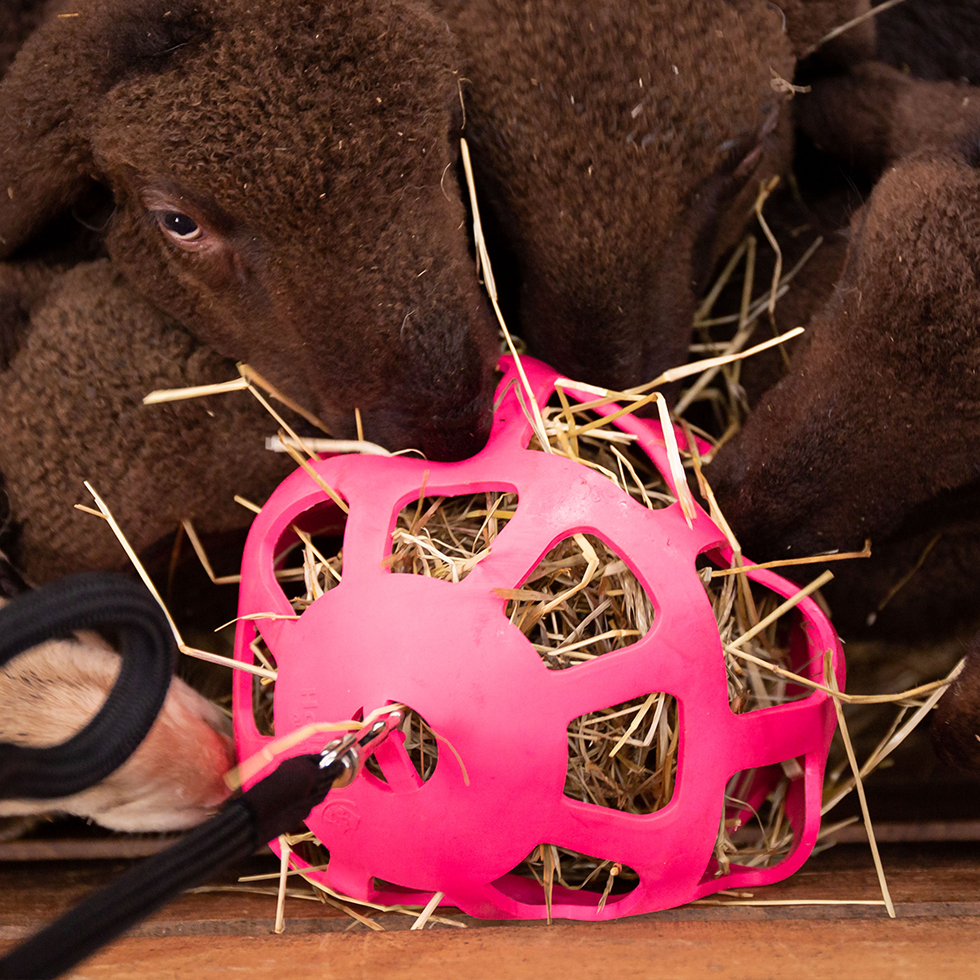 Hay Slow Feeder Fun & Flex - Afbeelding 6