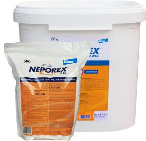 Neporex