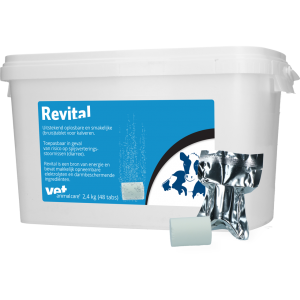 Revital Bruistablet