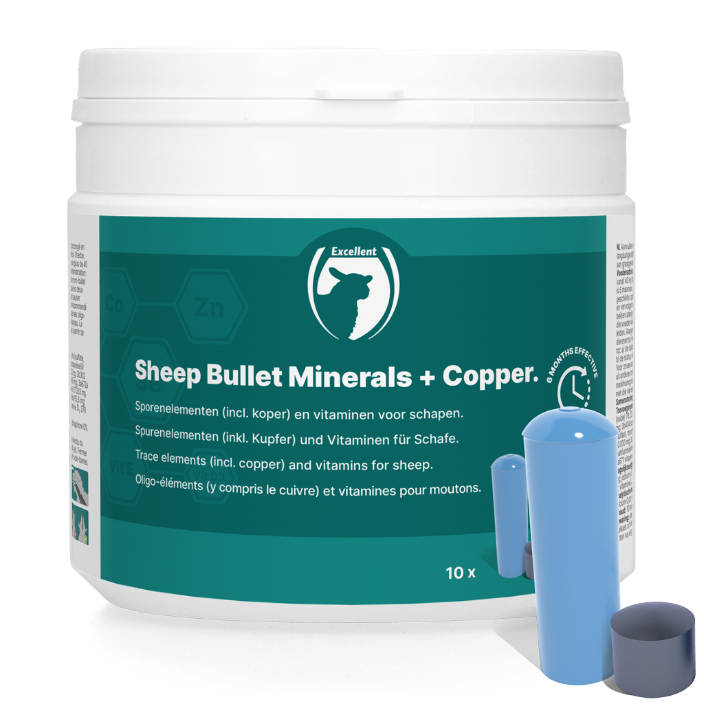 Sheep Bullet Minerals + Koper