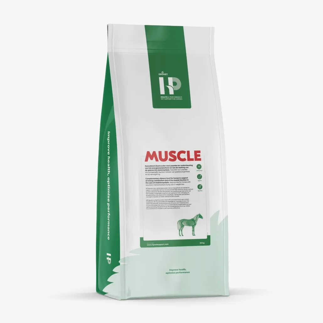HP Muscle
