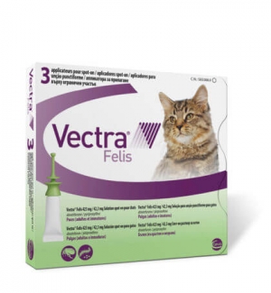 Vectra Felis