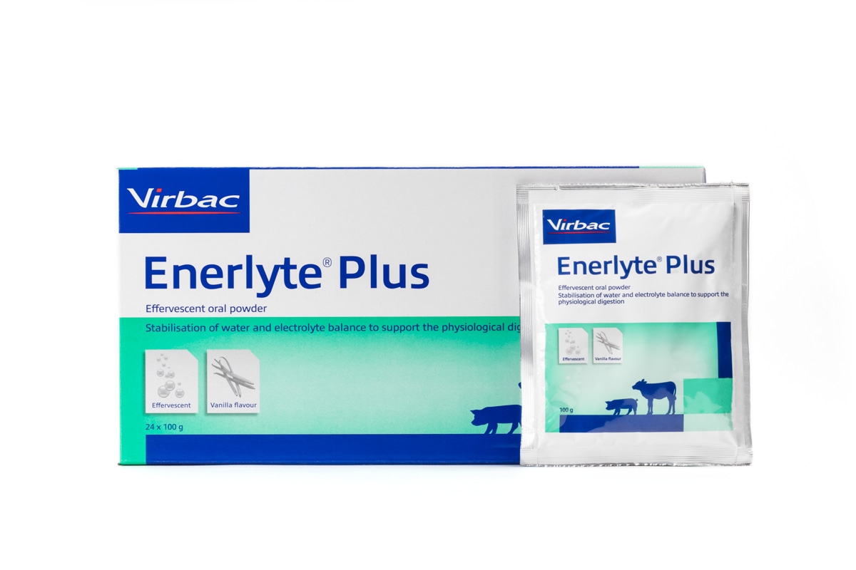 Enerlyte Plus 24stuks