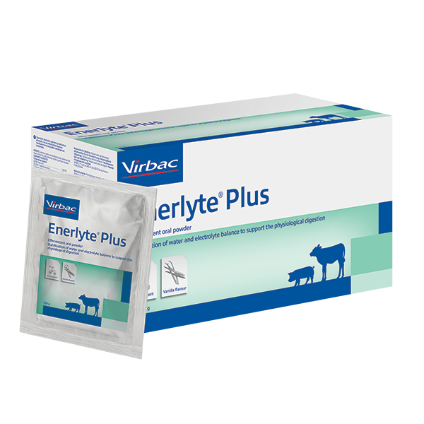 Enerlyte Plus 24x100gram - Afbeelding 2