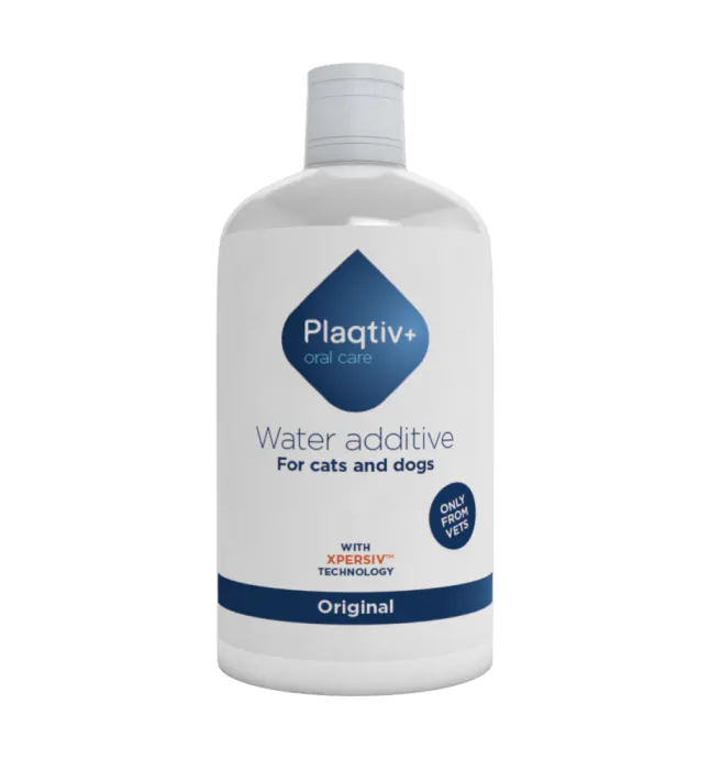plaqtiv wateradditief mondwater hond kat
