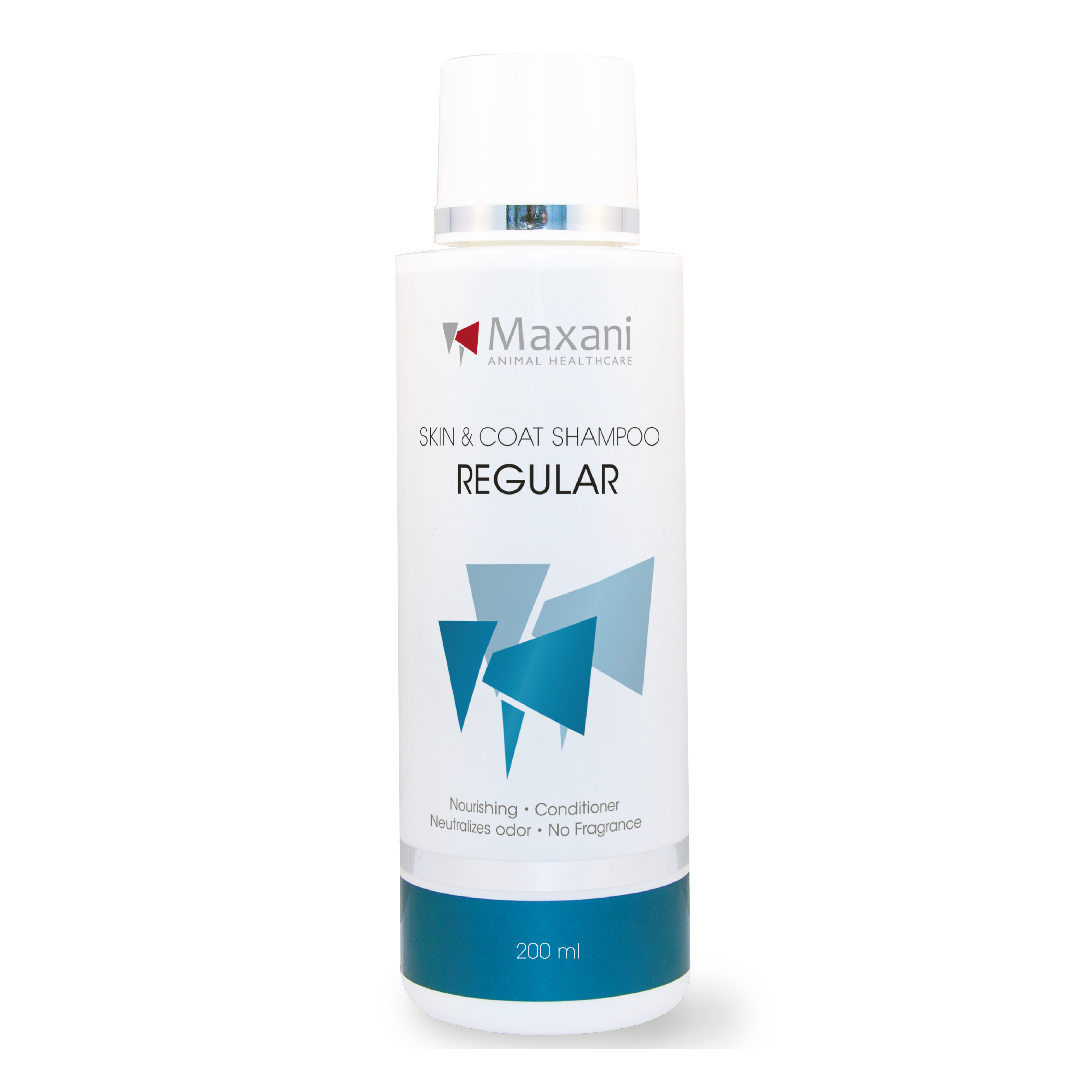 Beste shampoo voor mijn hond? Maxani regular, dagelijkse shampoo, hond en kat. Tast huidvetten niet aan. Gezonde glans en verwijdering van vieze geuren.