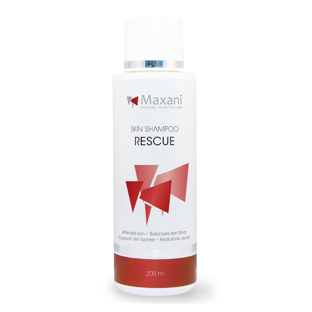Wat is de beste shampoo voor mijn hond? Maxani Rescue huidshampoo. Hond en kat, bacteriele infectie. Ondersteuning voor de huid.
