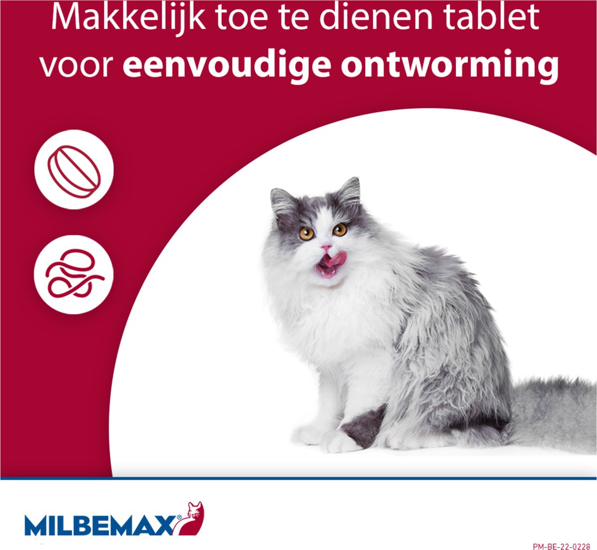 eenvoudige ontworming kat