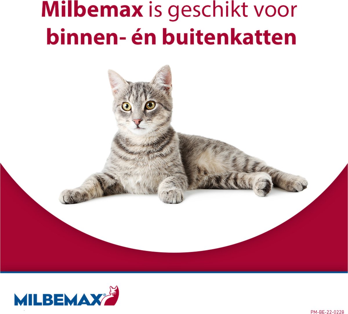 ontworming voor binnenkat buitenkat