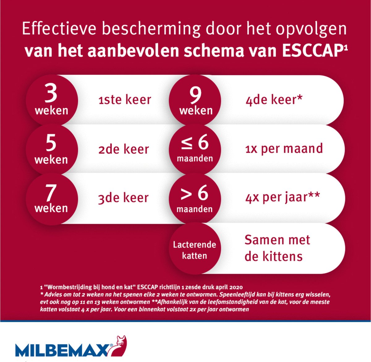 ontwormingsschema kat milbemax