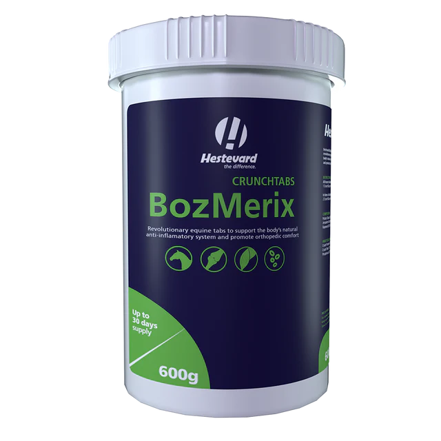 Hestevard BozMerix - Afbeelding 2