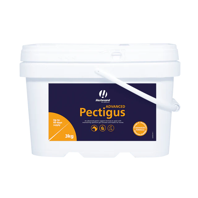 Hestevard Pectigus Advanced spijsvertering supplement