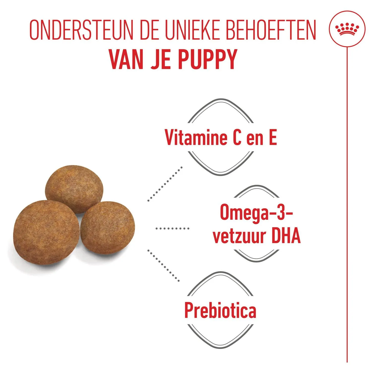 Royal Canin Maxi Puppy - Afbeelding 6