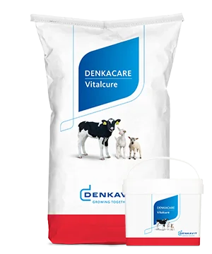 Denkacare Vitalcure