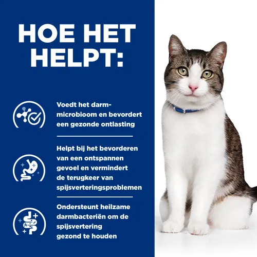 Gastrointestinal Biome Stress Hoe Het Helpt