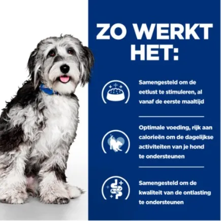 Hill's Prescription Diet On-Care Hond - Afbeelding 2