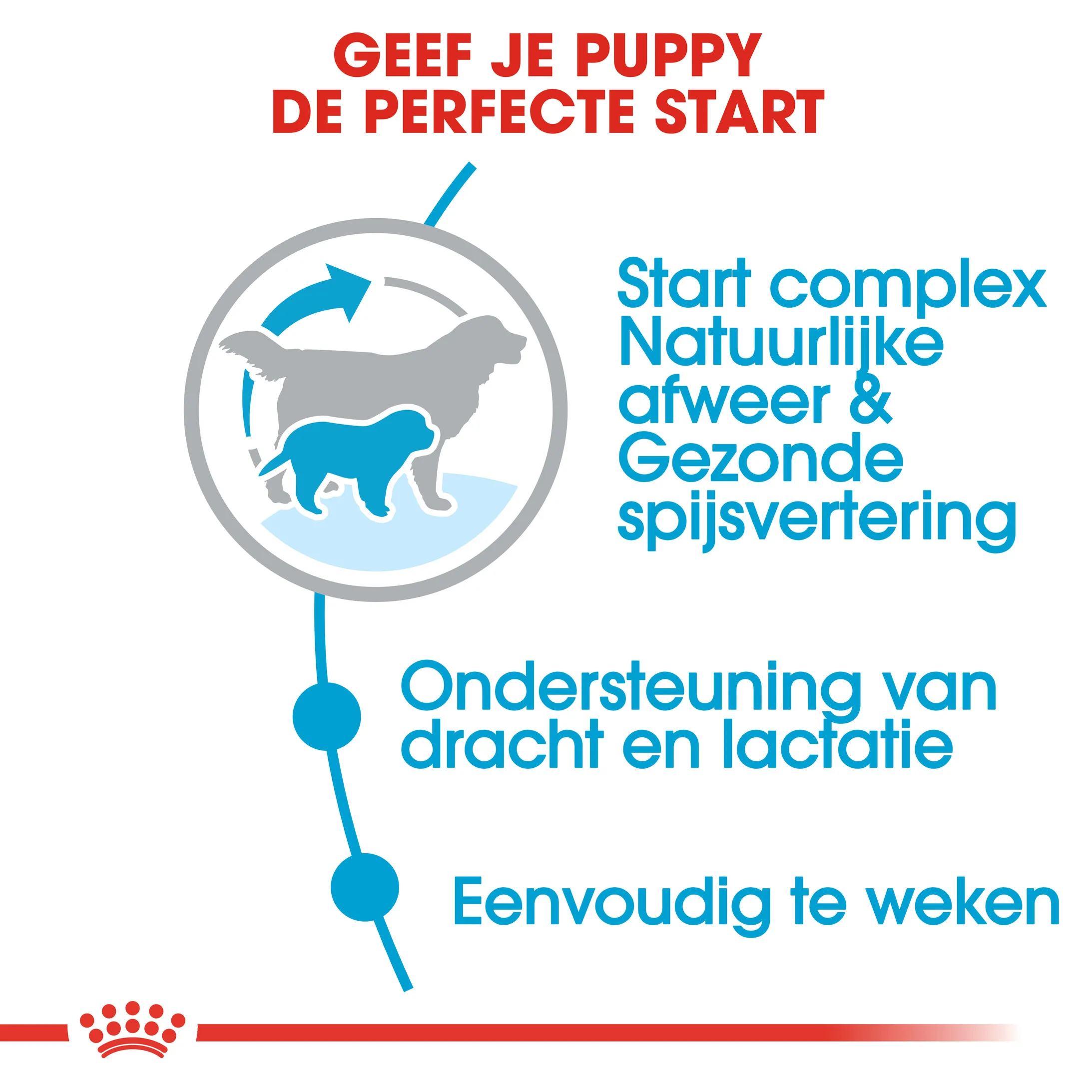 Royal Canin Giant Starter Mother & Babydog - Afbeelding 3